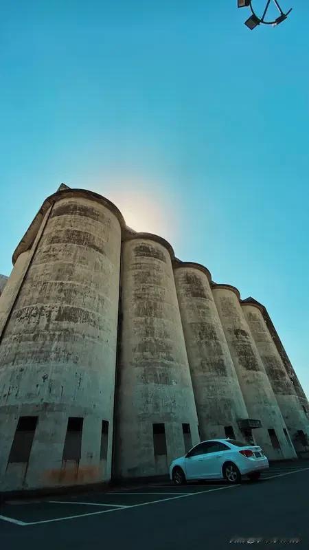 2025 年，我国粮食产量达 14297.5 亿斤，再创新高，较上年增 167.