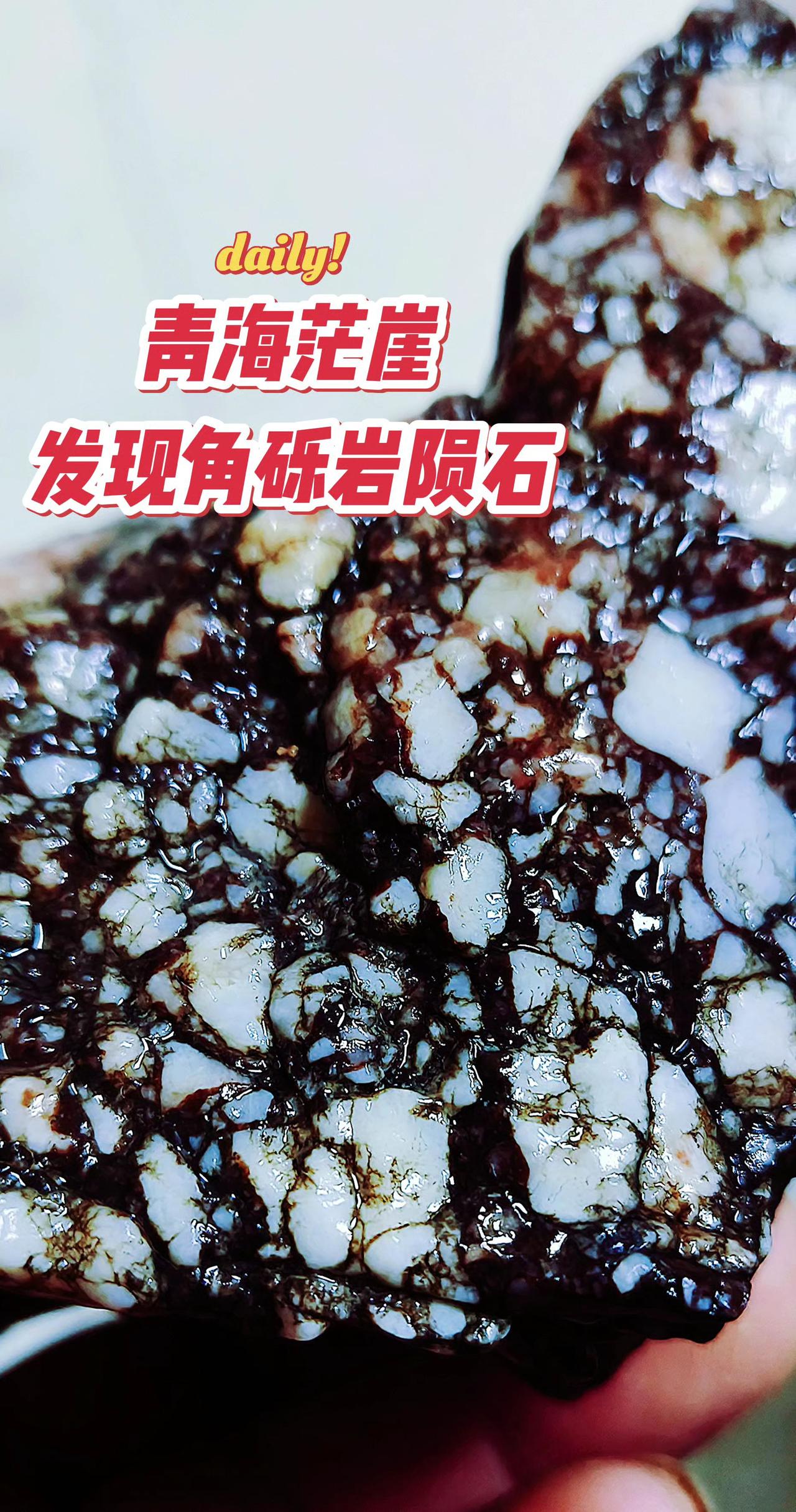 青海茫崖发现角砾岩陨石