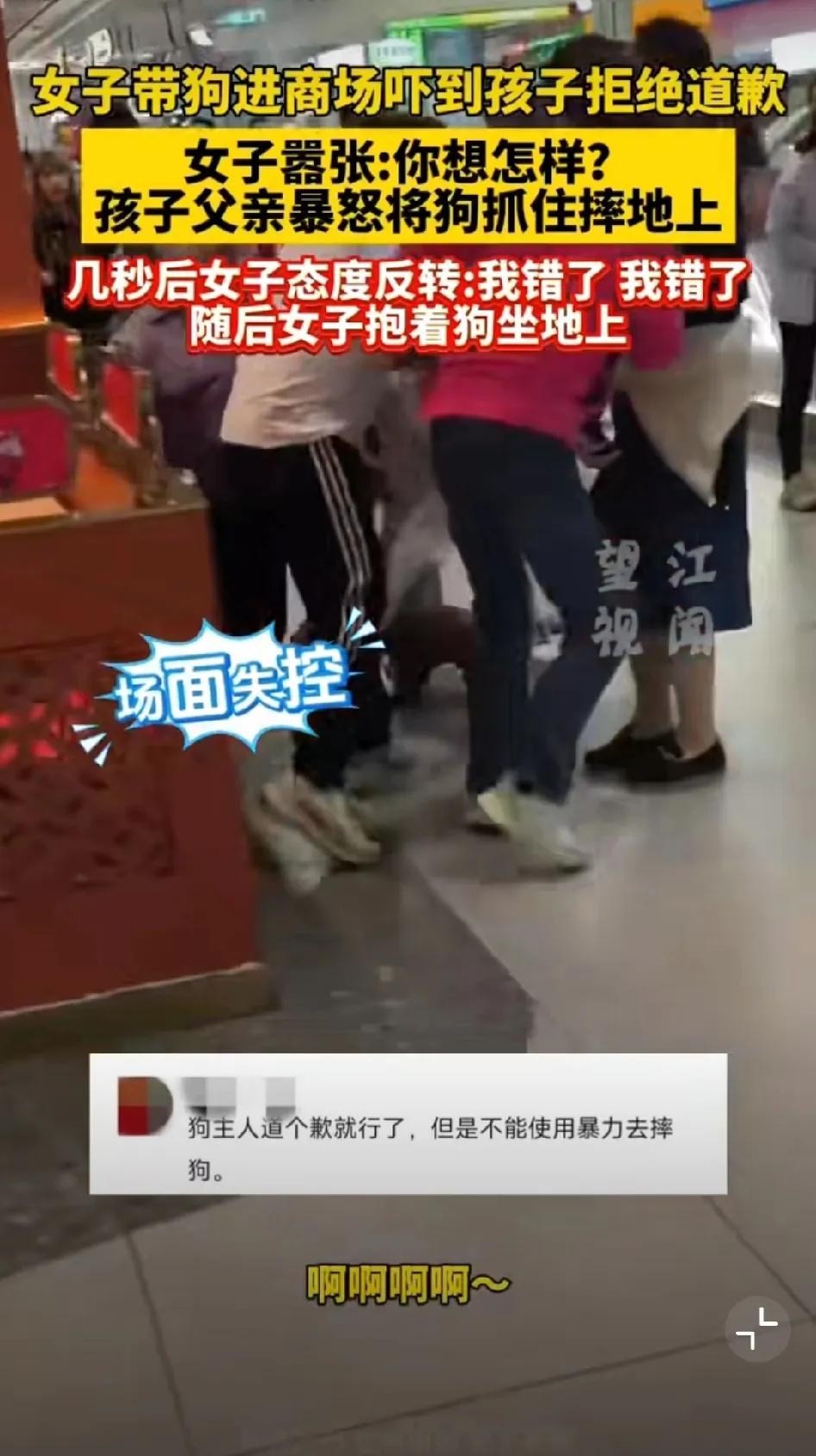 近日，武汉一女子带着未拴绳的泰迪犬进入一商场内，泰迪犬将商场内一幼儿扑倒，幼儿被