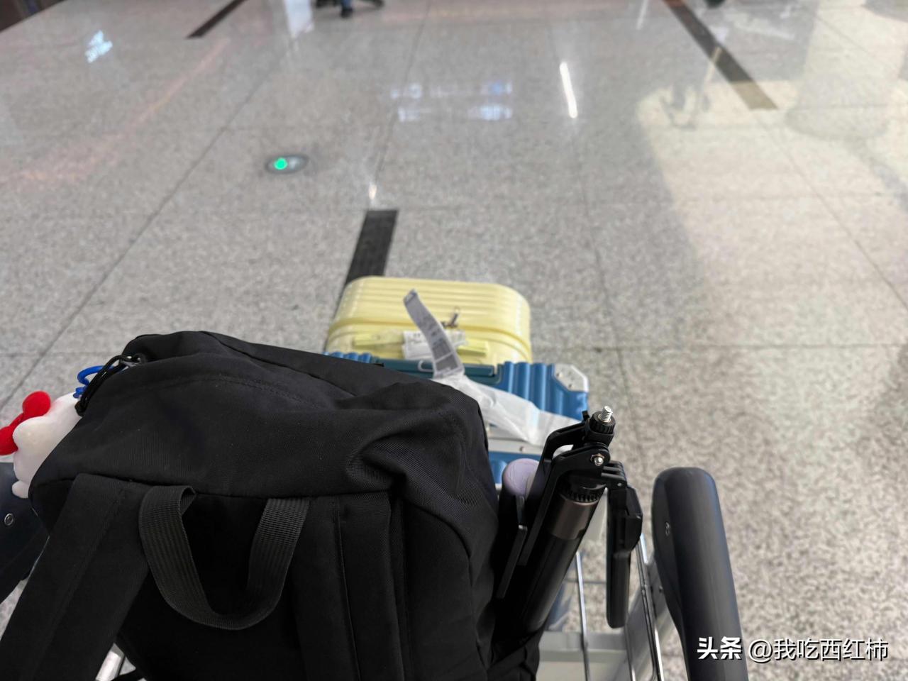 出国旅行，只有中国小孩最难带
每次带娃出门旅行，我都特别有体会。
前天刚从新西兰