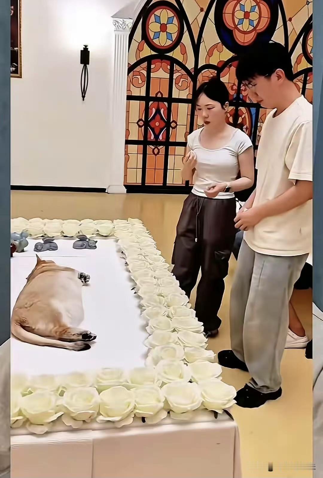 有钱人花15w给宠物狗办葬礼，到场的亲戚朋友“满脸悲伤”，15w捐给贫困山区会不