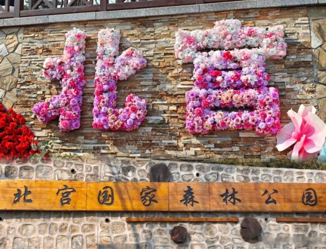 北京本地人私藏 7 处清凉森林公园，免费低价任选，地铁公交轻松抵达。浓密树林隔绝
