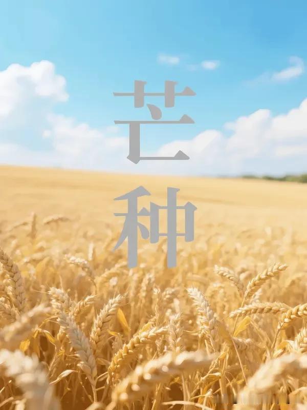芒种：人间加急版夏天
 
风最近换了工作，专职催更夏天
 
带着一身滚烫的脾气，