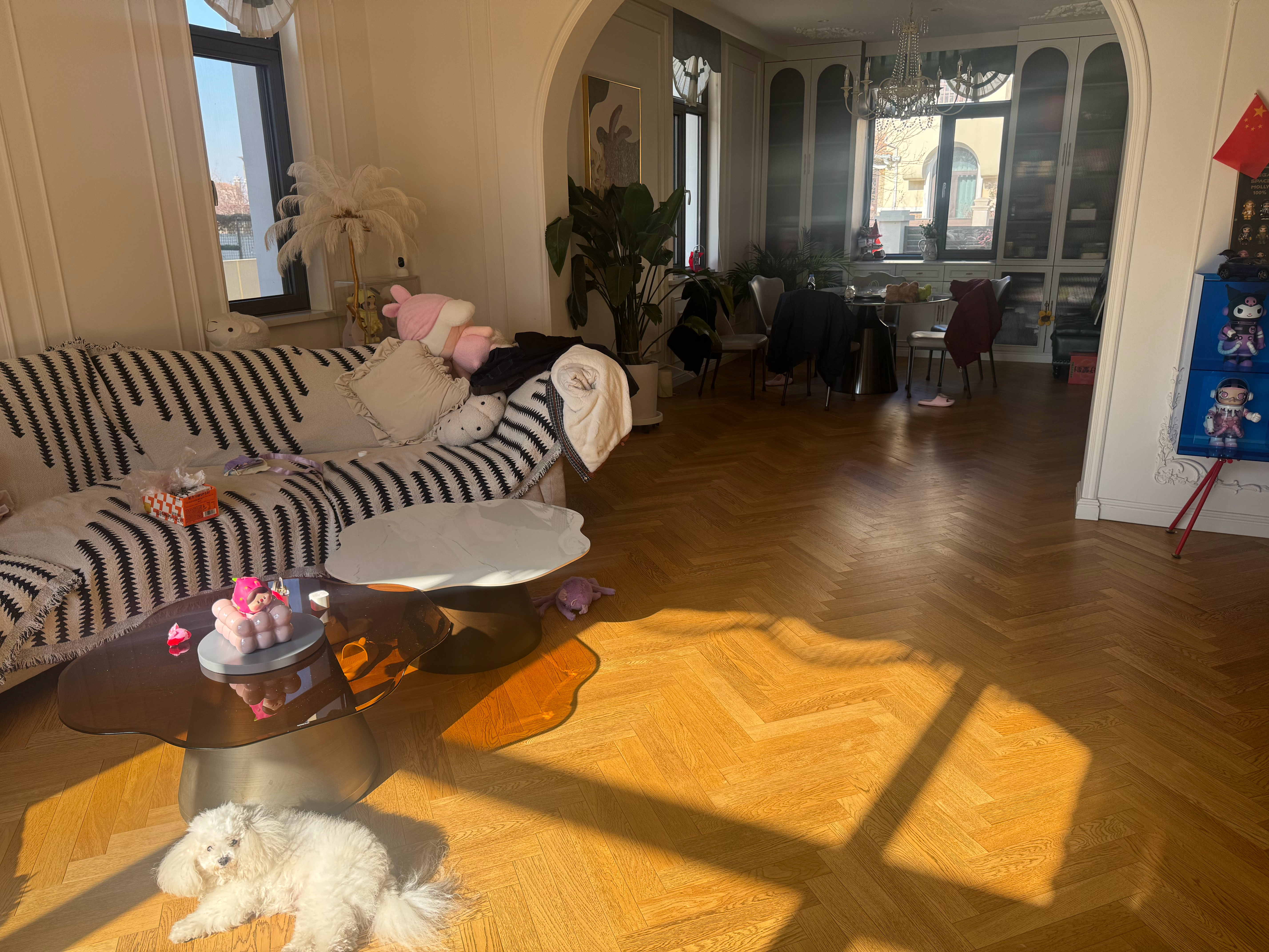 快要春节了，今天放假在家大扫除。对了，周末晚上有红包哦。8点。 