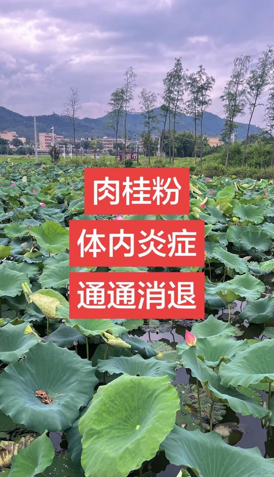 逆风局直接翻盘！孙颖莎持续追分拿下10分，3比2险胜金娜英，紧张赛点对手突发失误
