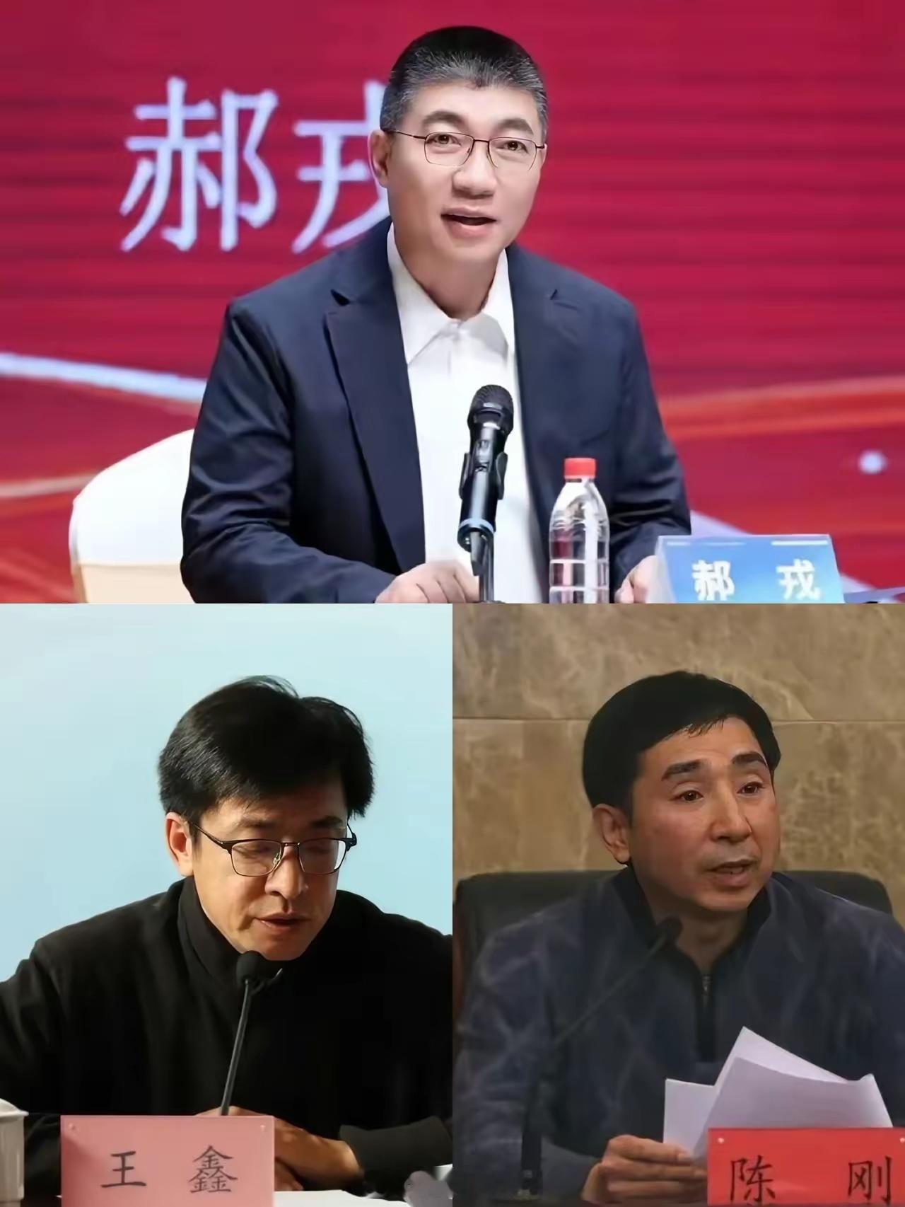 中戏院长郝戎落马不足两个月这两人主动投案，给以后量刑留有余地。还有一种是精神压力