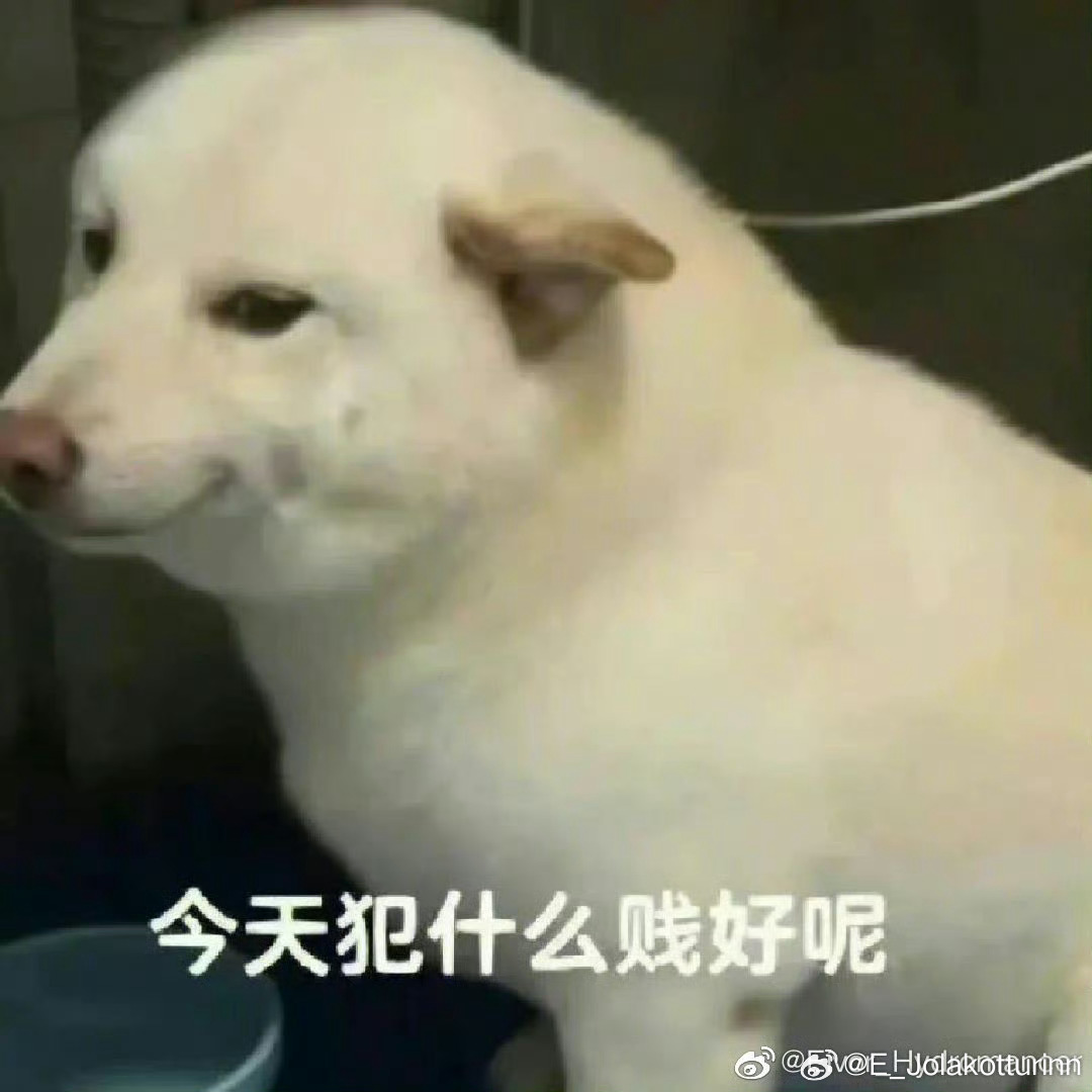 扎哈罗娃怒斥日本记者昨天我捡起很久没用的俄语，仔细听了一遍扎哈罗娃和日本记者的对