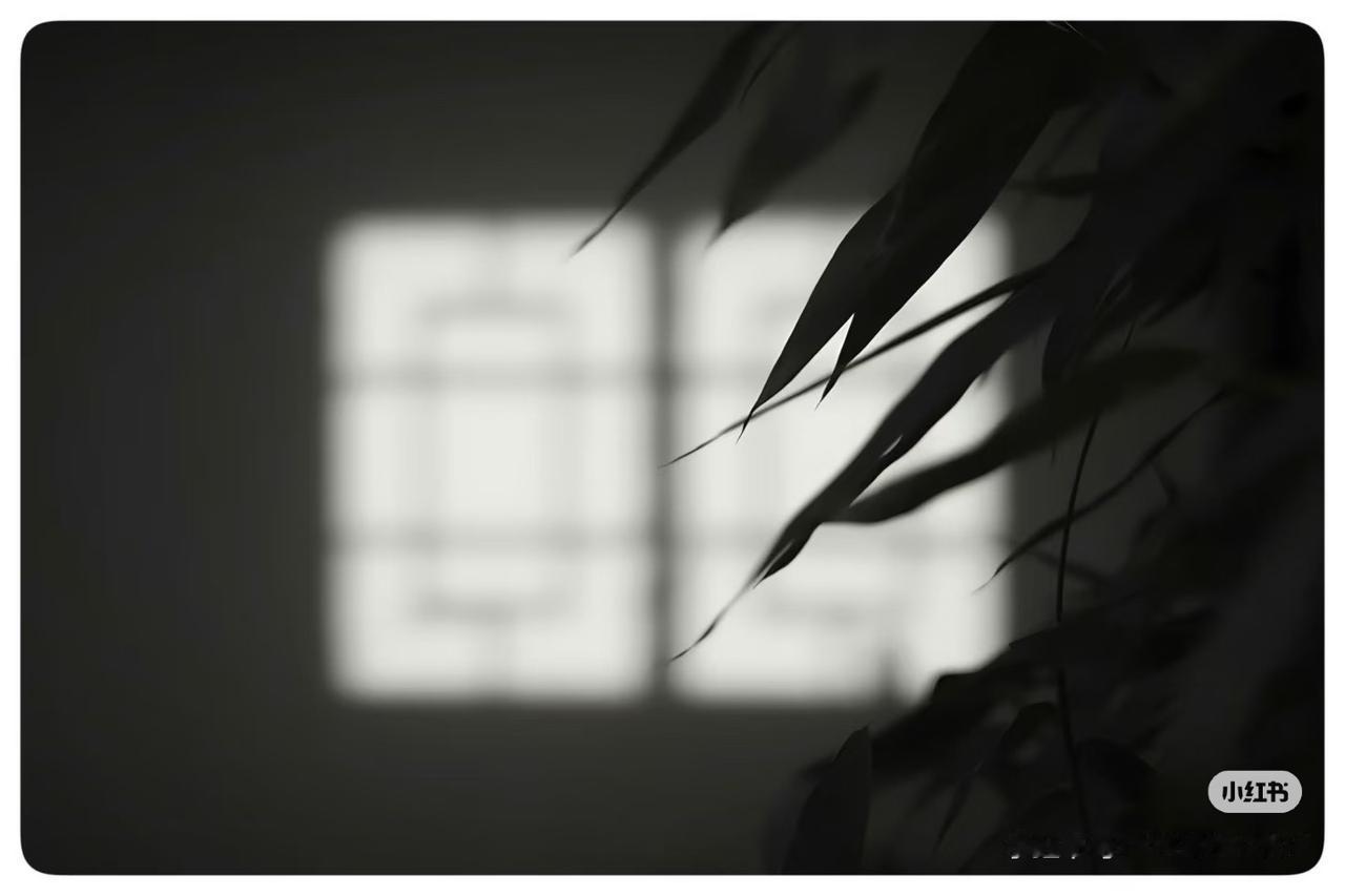 刘立彤作品赏析：看着这幅摄影作品，我想到了歌曲《窗外》。