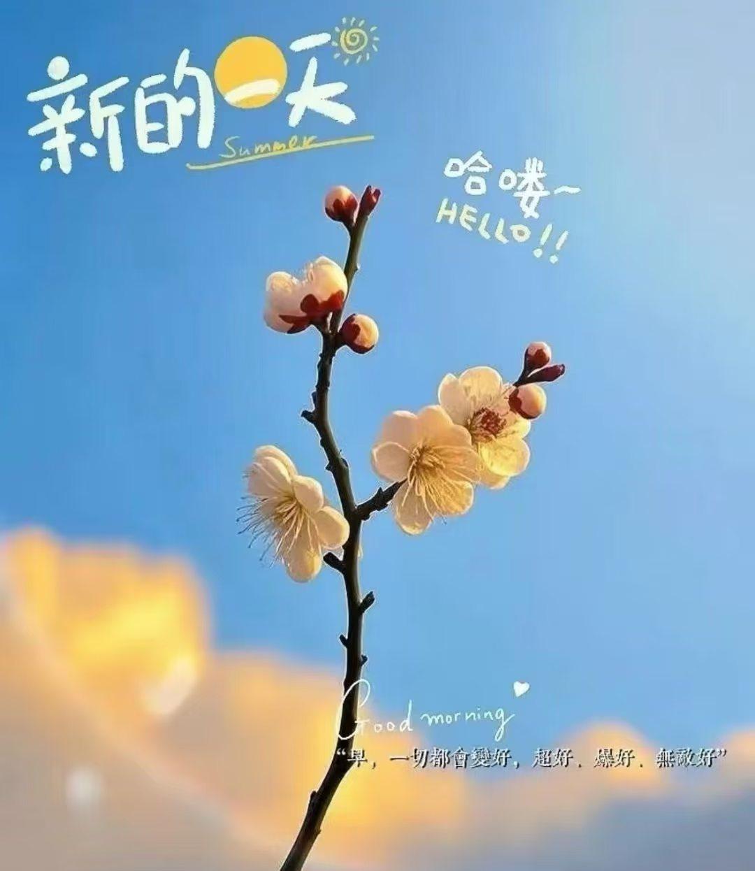 平凡的日子，就像一首悠扬的小调，虽没有激昂的旋律，却有着动人心弦的韵味。清晨，第