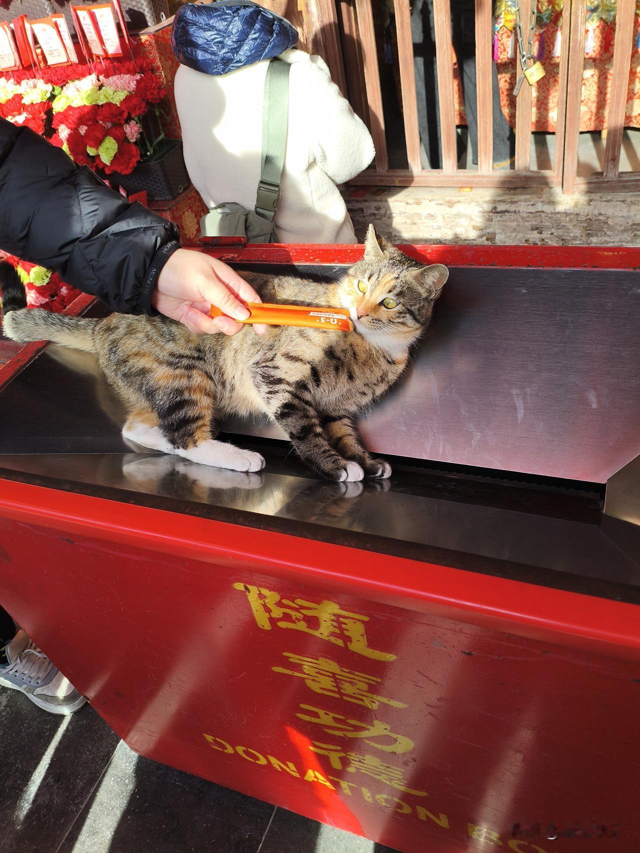 2026.02.23
果然，趴在这里随喜功德，有吃的