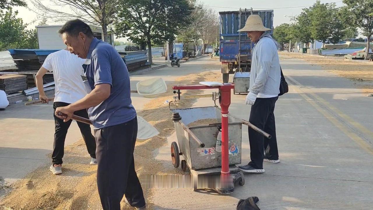 其次心态平和，如今不少农民收入不靠种地，卖粮只是补充，及时卖掉落袋为安，不必操心