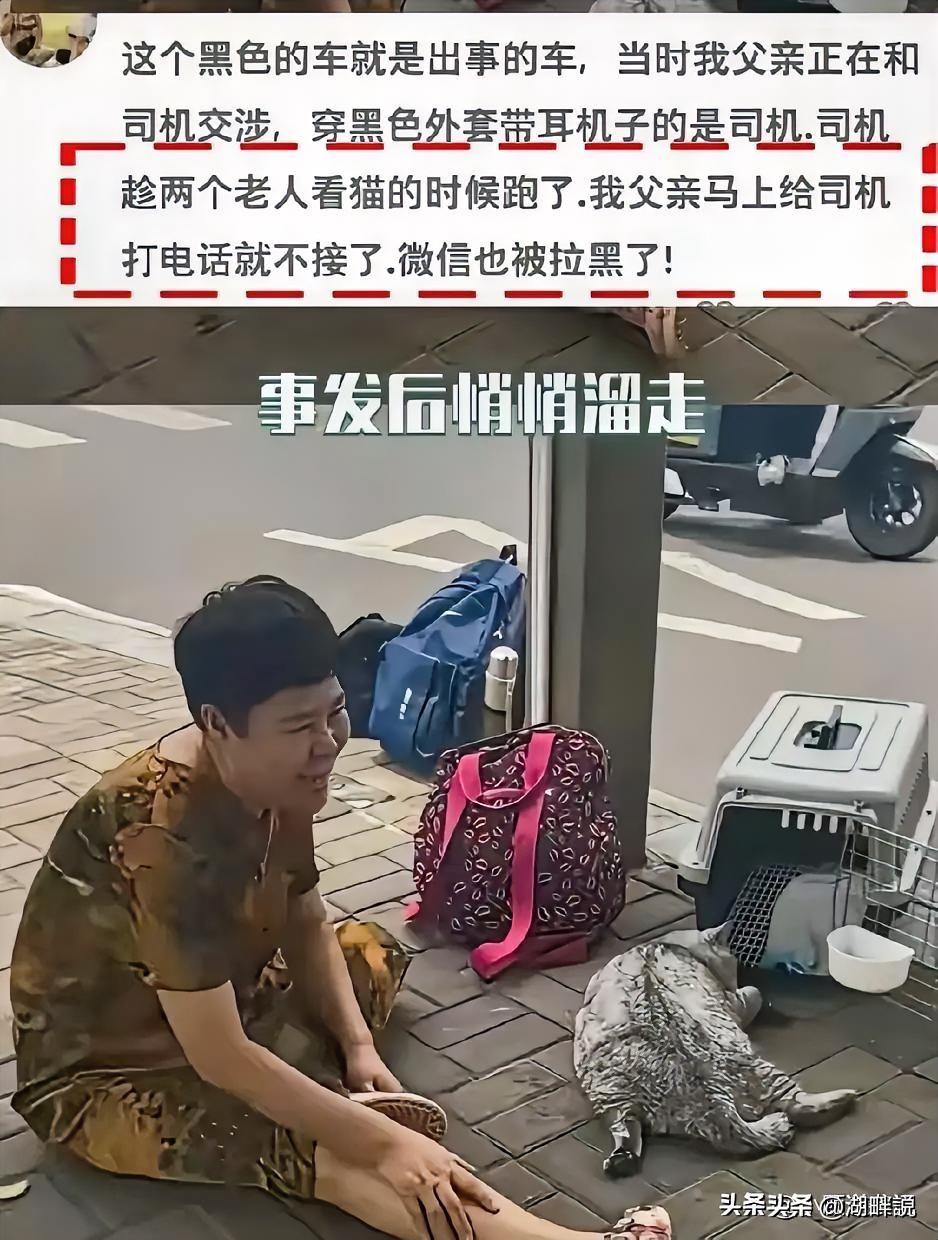 阿姨包车送猫咪却被黑车司机塞入后备箱活活闷死，阿姨看到猫咪已被闷死后嚎啕大哭司机
