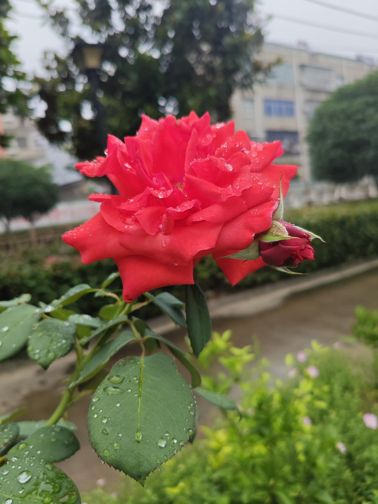 人之所以畏惧死亡，大抵是害怕彻底的消失
 
人这一生最大的惶恐，从来不是生活的苦