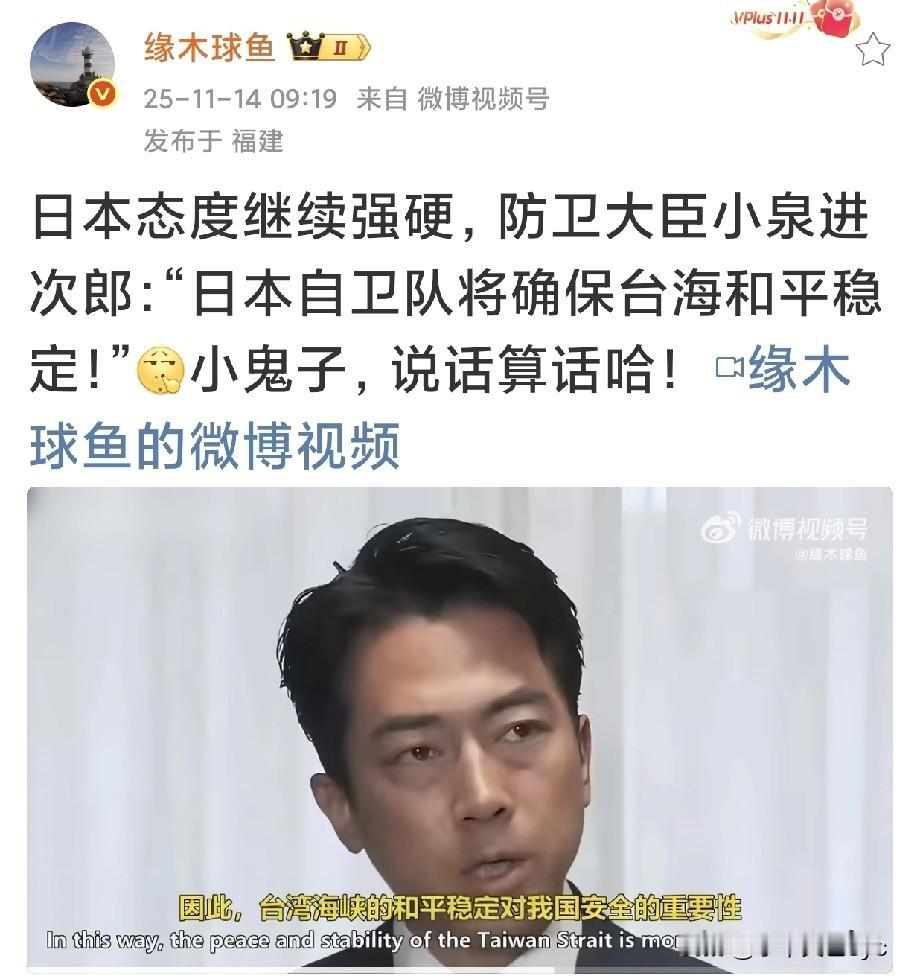 日本防卫大臣小泉进次郎：“日本自卫队将确保台海和平稳定！”
没有检索到日本防卫大