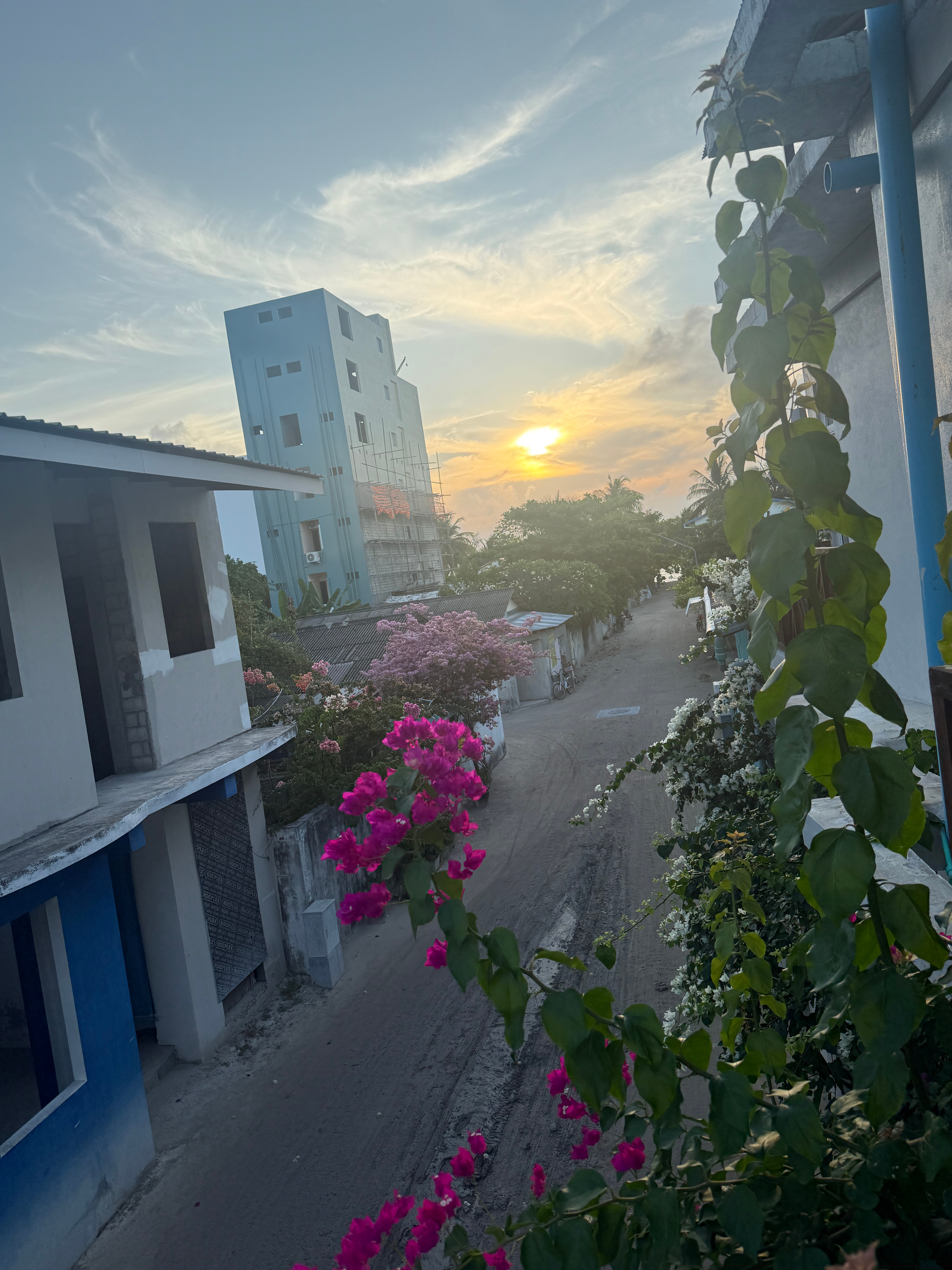 早哇大家！！岛民生活开始了～～～🌴早安卷妹的唠嗑 马尔代夫·Rasdhoo