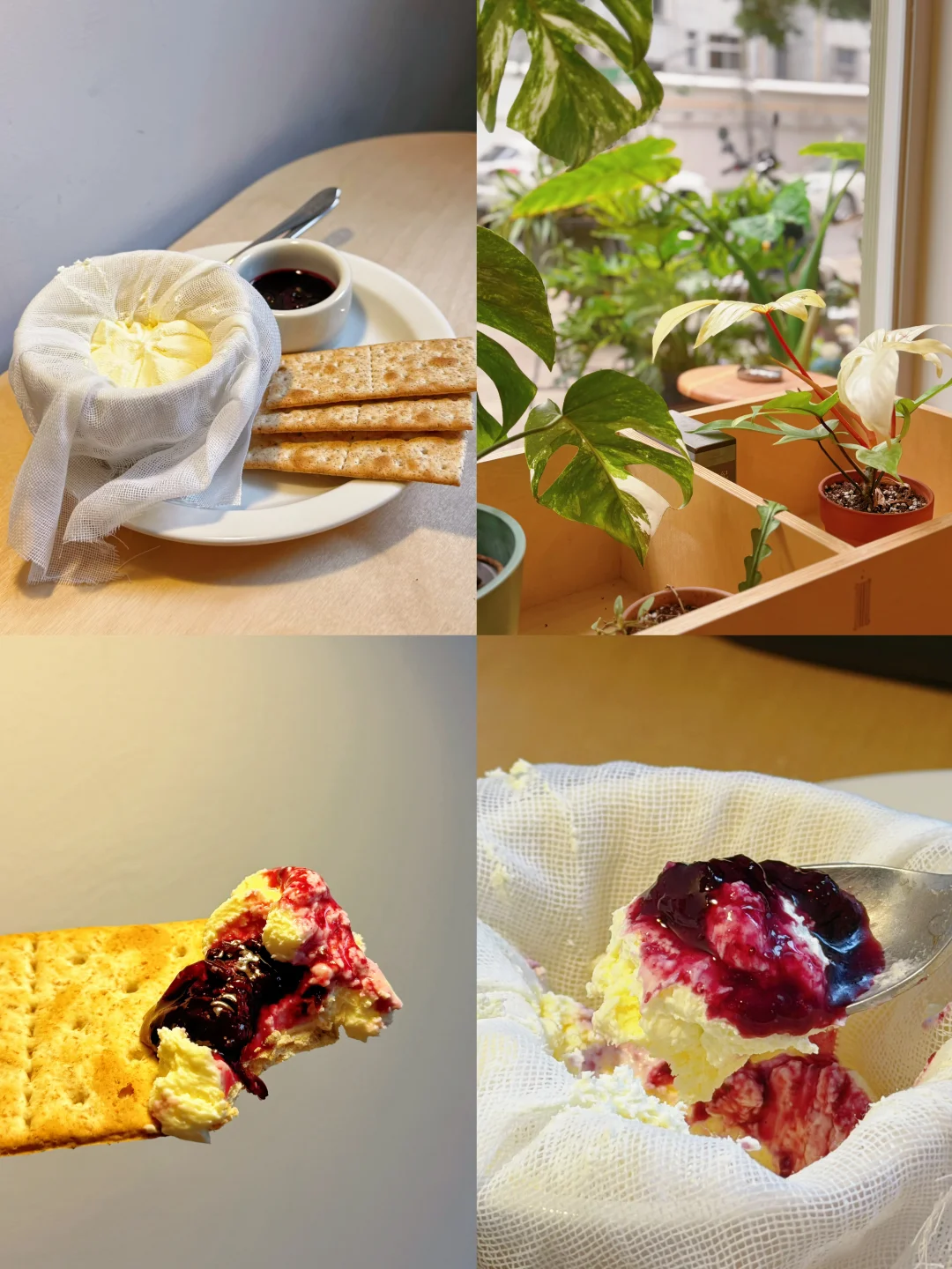 长沙 | 超级好吃的纱布芝士