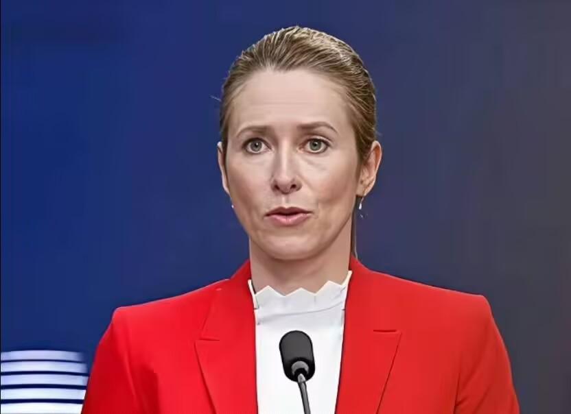 欧盟外长卡拉斯：“没有任何欧洲国家，能跟中国单挑。” ​​​