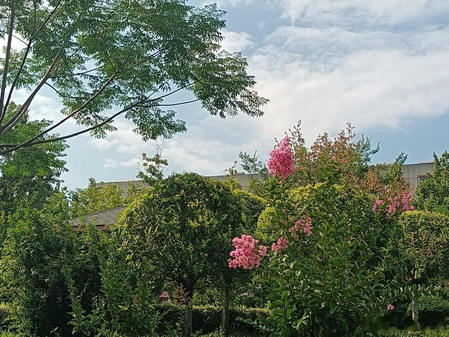 手机摄影 一路向前让平凡世界添点诗意盎然 
