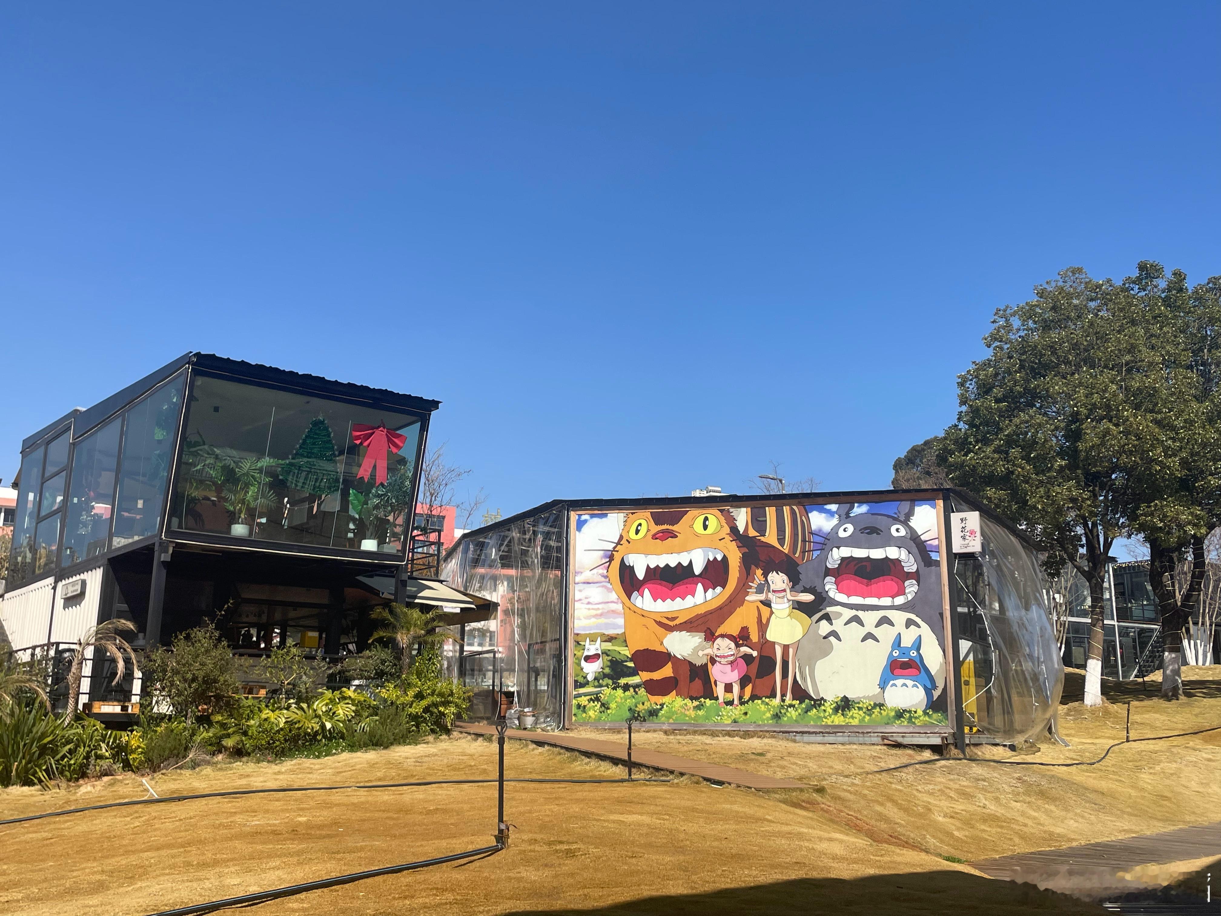 温暖的午后，曲靖也有了动画电影般的质感 曲靖