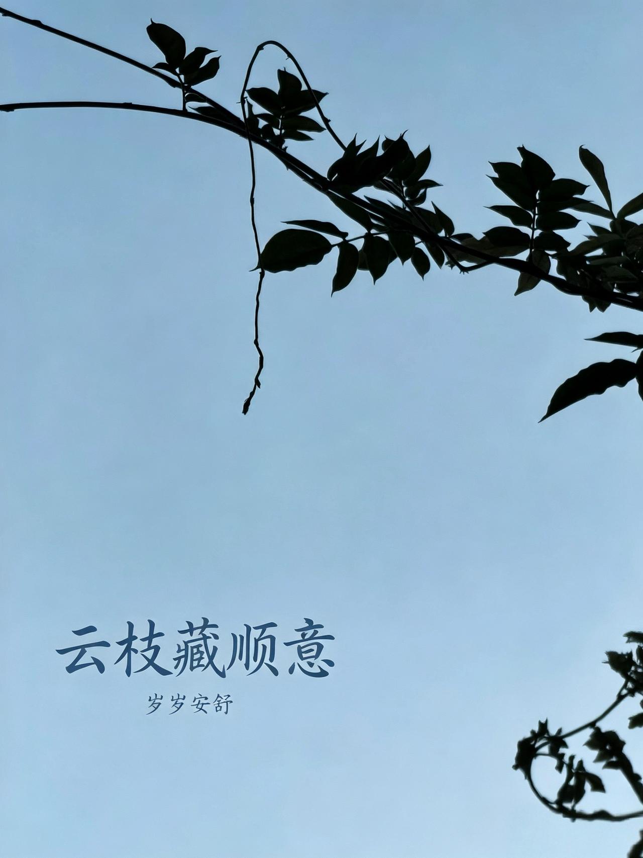 采气：你越使劲呼吸，气越不来

公园里老张跟我说，他每天早上对着树“采气”，吸得