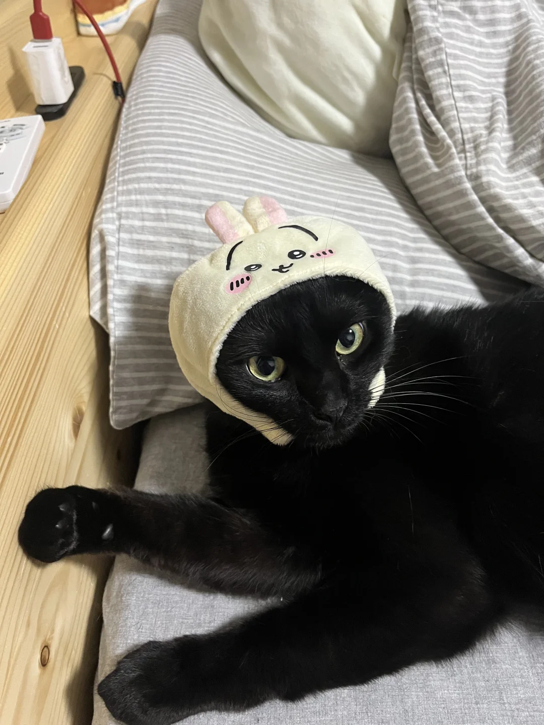 绝美乌师傅🐰