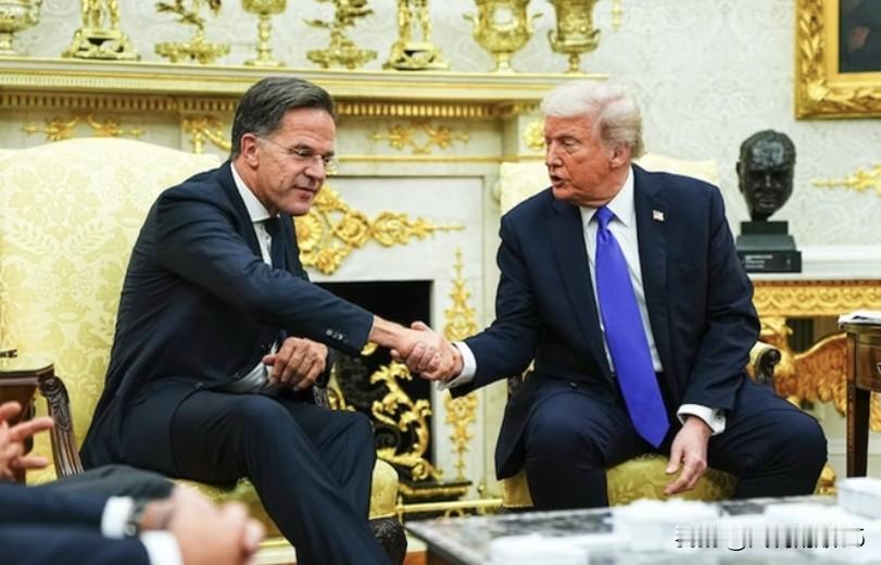 特朗普像极了地主家的儿子！就在北约秘书长吕特赴美修复北约与美国的关系会晤后，特朗