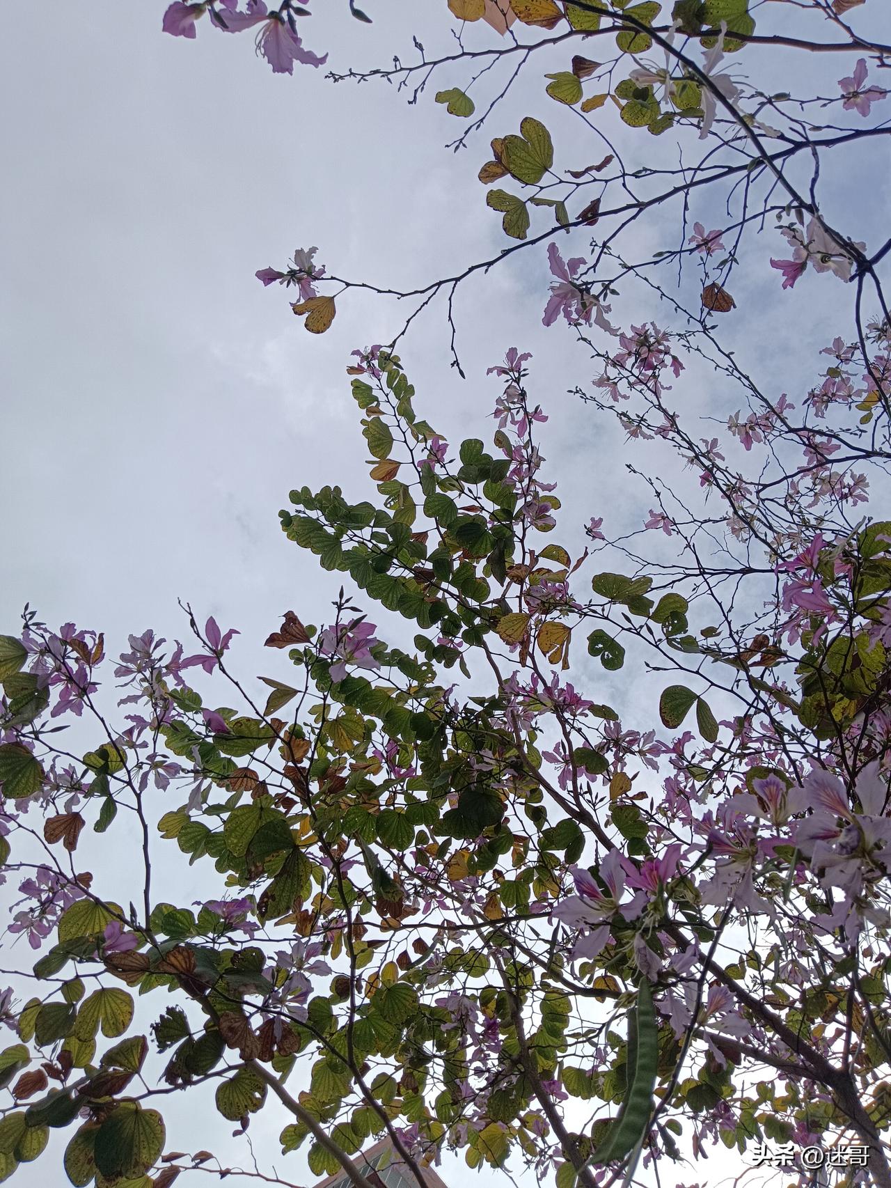 影院试行“观影后悔权”，不好看可退半票

杭州影院火了！看电影前10分钟，觉得不