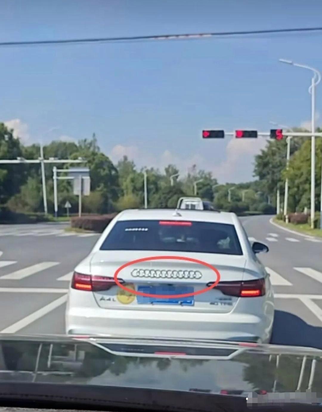 这车标是我花眼了吗