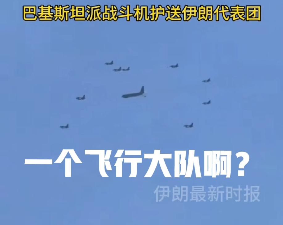 九架战机护航！
巴铁真是实力派！
知道的，以为是护航，不知道的还以为派一个大队出