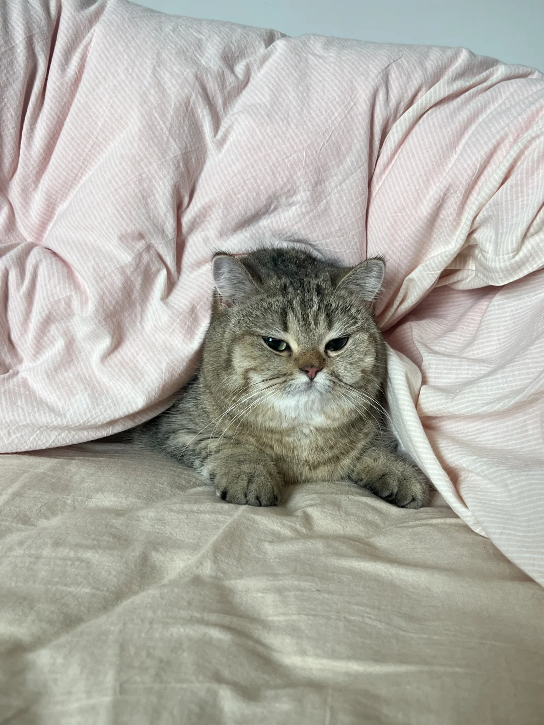 负重行不了一点