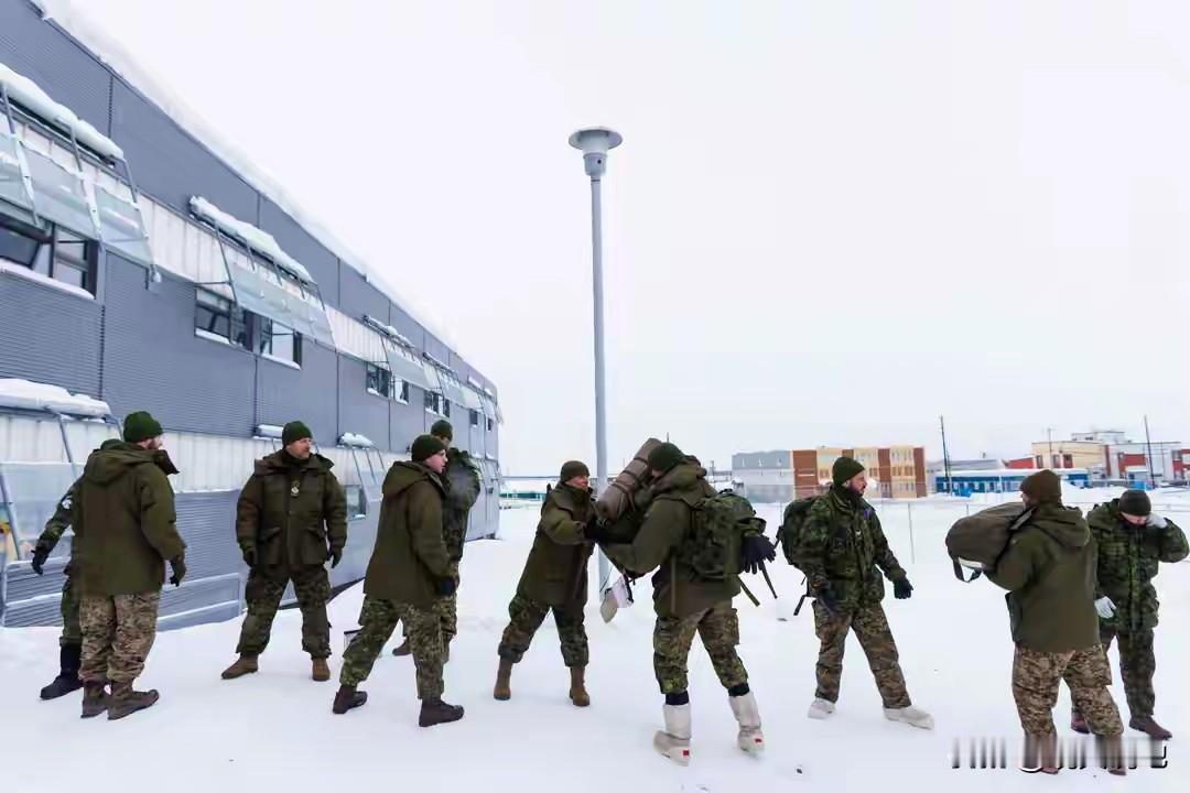 防贼防盗防朋友，加美做了上百年朋友，加国万没有想到美国竟打自己主意，近日特朗普扬