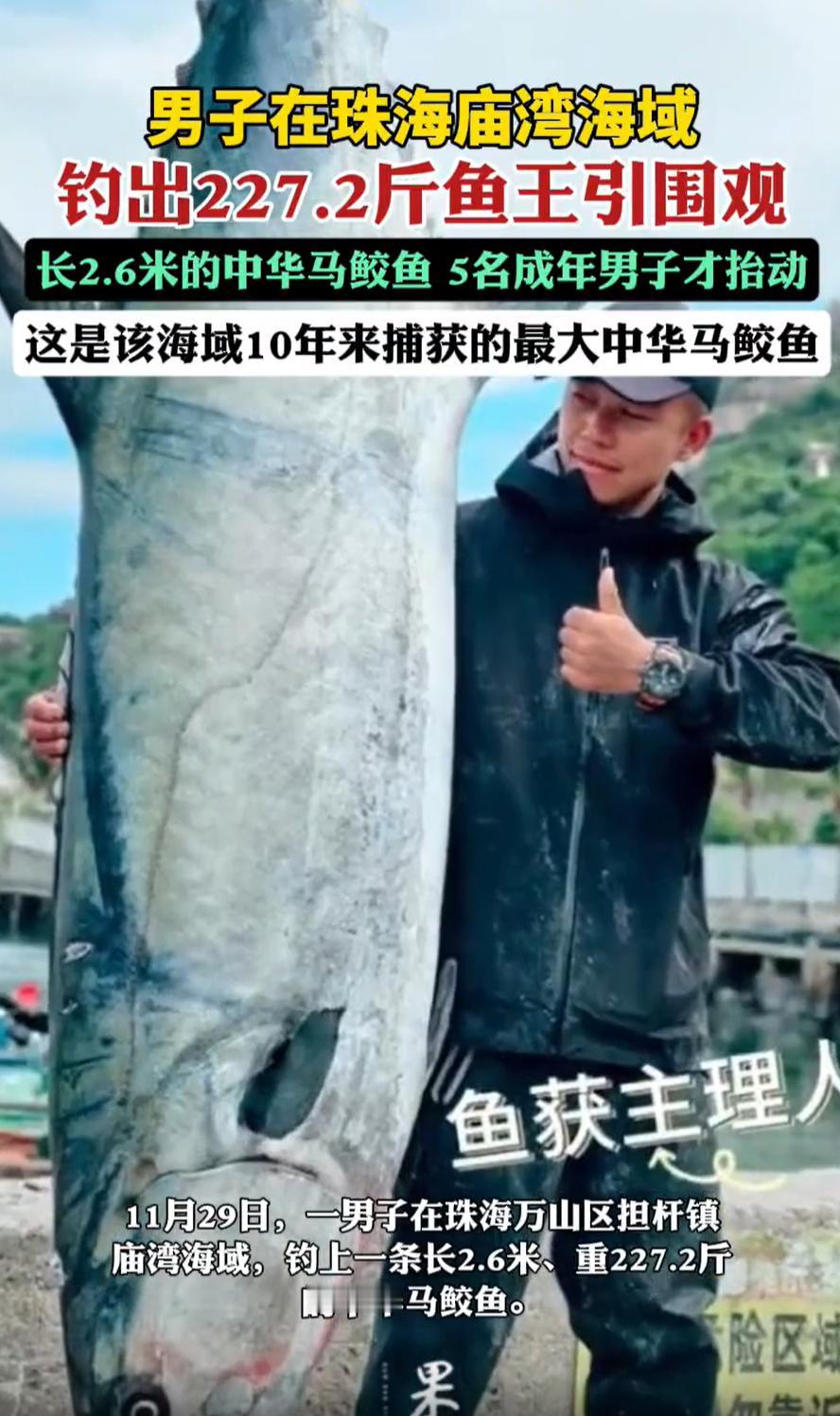 这能吹一辈子了！广东珠海，一男子在海边钓鱼，结果一杆下去拉上来一条中华马鲛，足足
