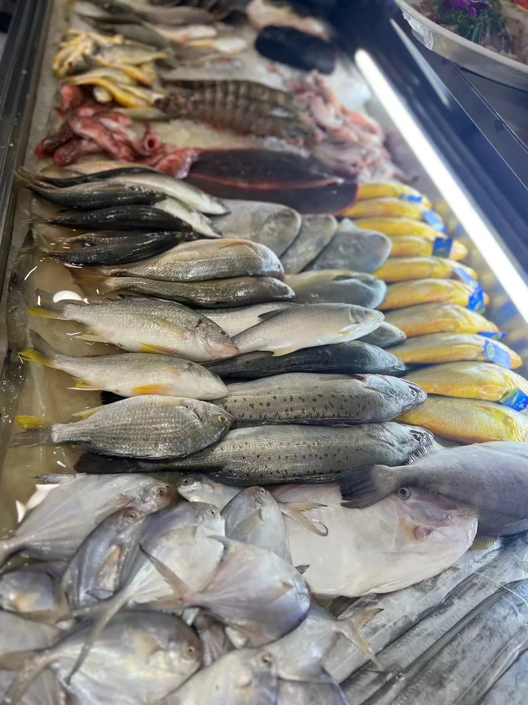 在昆明吃泉州菜