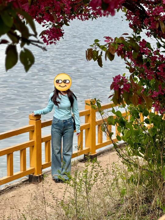 云南沈阳分园～长白岛森林公园🌊海棠花盛开