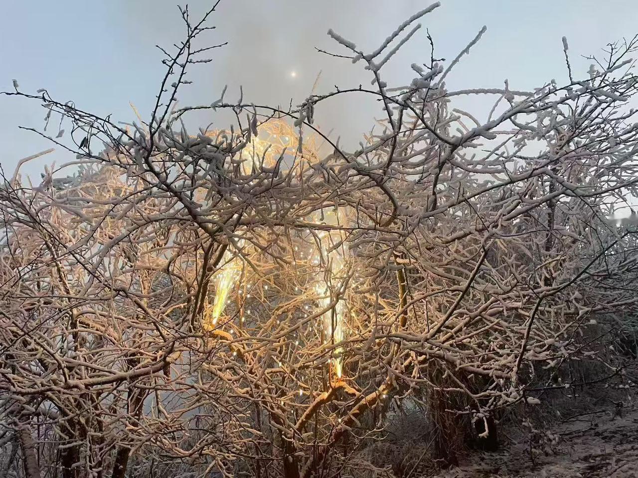 雪地里的小热闹

哎呀，你瞅瞅这画面！天儿刚擦黑，那太阳啊，就跟个裹了层毛玻璃的