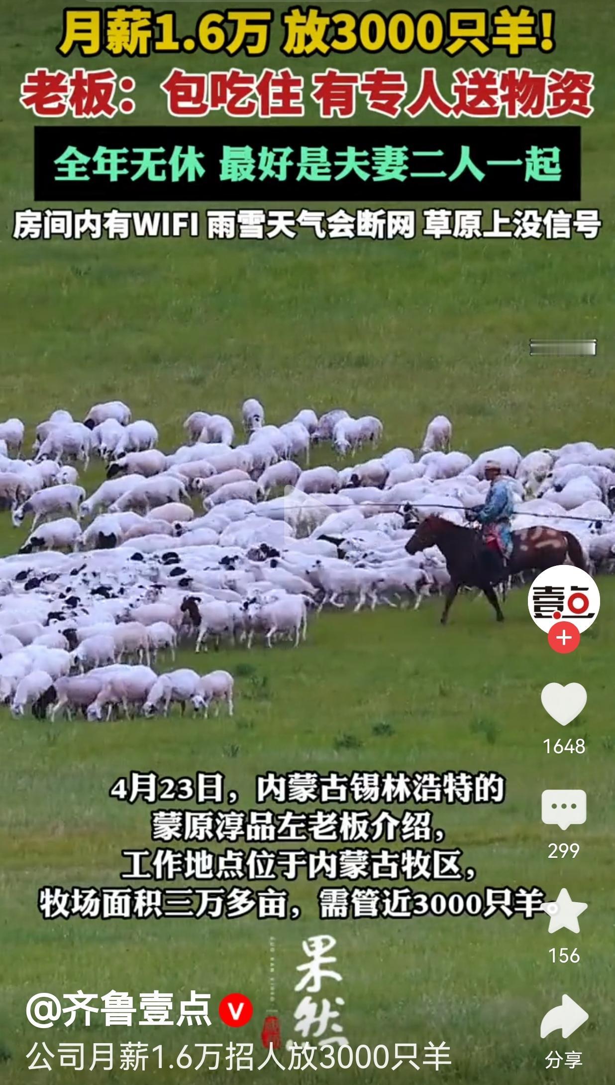 月薪1.6万在内蒙古放3000只羊，包吃住专人送物资，可这活儿真不是谁都能干的。