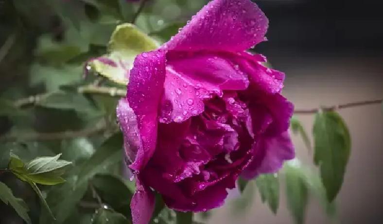 70岁那年，儿女远走高飞，老伴却成最大心头刺？为啥本该安稳的晚年，离婚闹剧竟翻倍