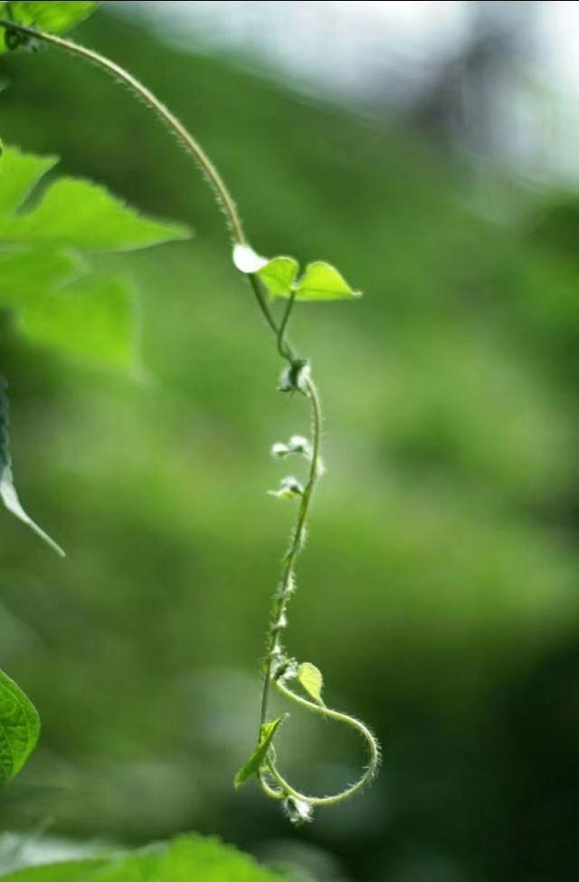 不用花钱！坚持这5个小事，让你一整天心情愉悦，情绪差的人必看
 
作为深耕健康与