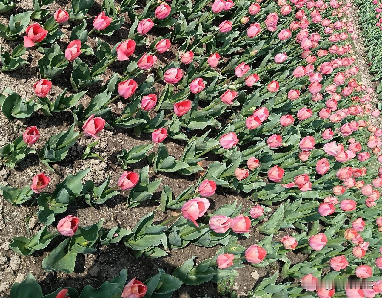 婚姻里最可怕的，
不是没钱，不是吵架，
而是你付出一切，却没人领情；
你委屈难过