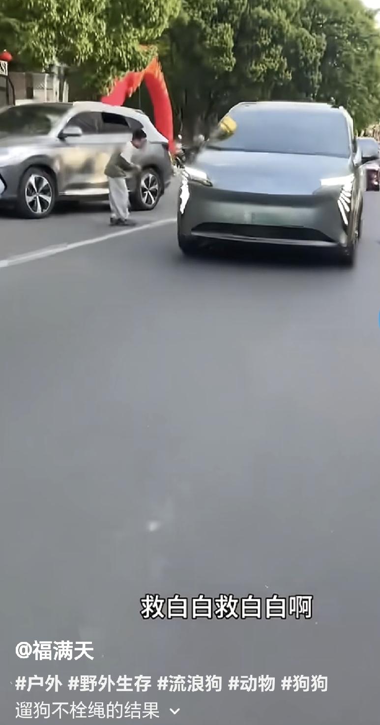 这个养狗女人很奇怪，你说她很爱她的狗狗嘛，她在大马路上溜狗不牵绳，任由小狗乱窜，