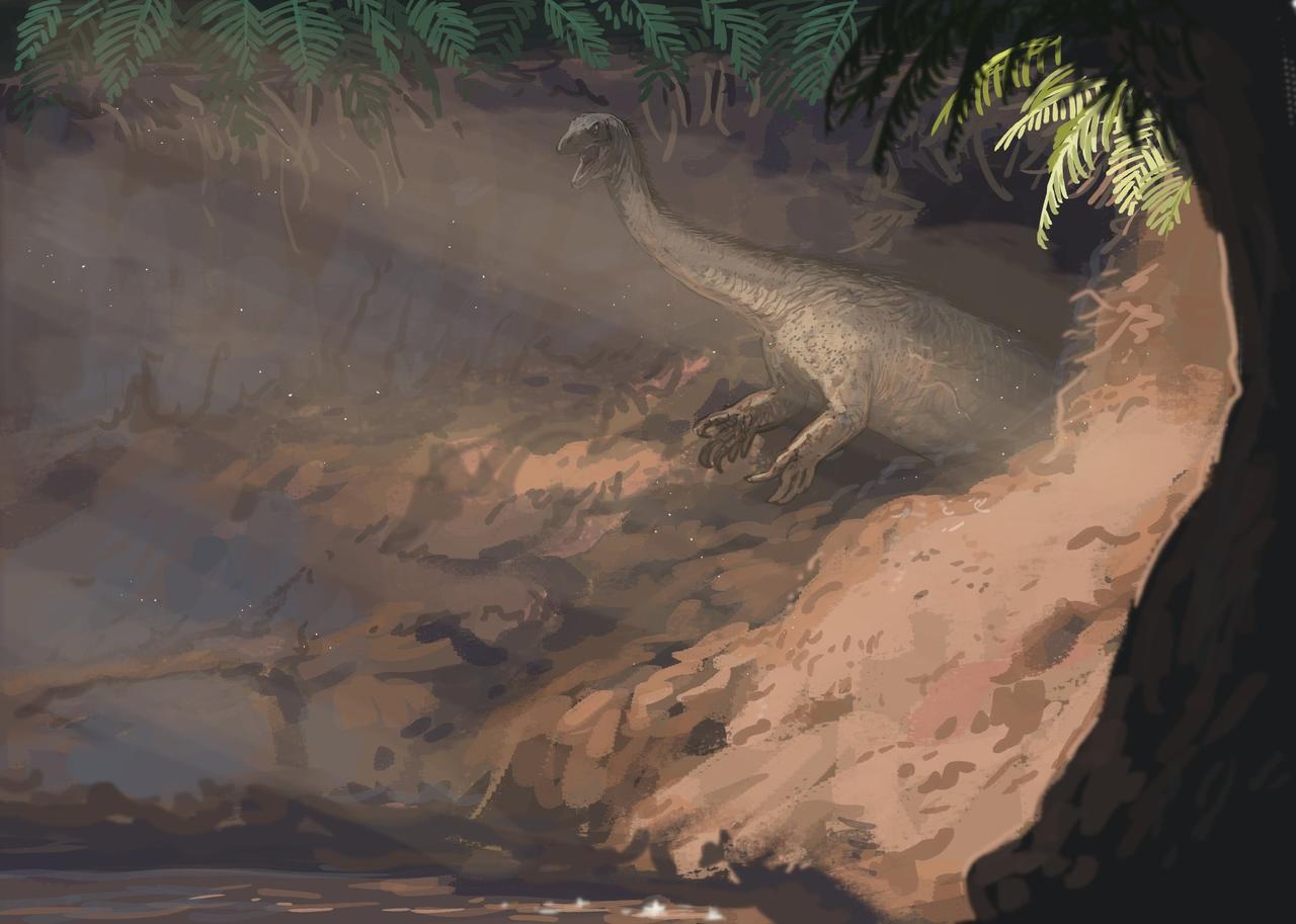 生活在洞里的近蜥龙
科普恐龙古生物
      近蜥龙（Anchisaurus）
