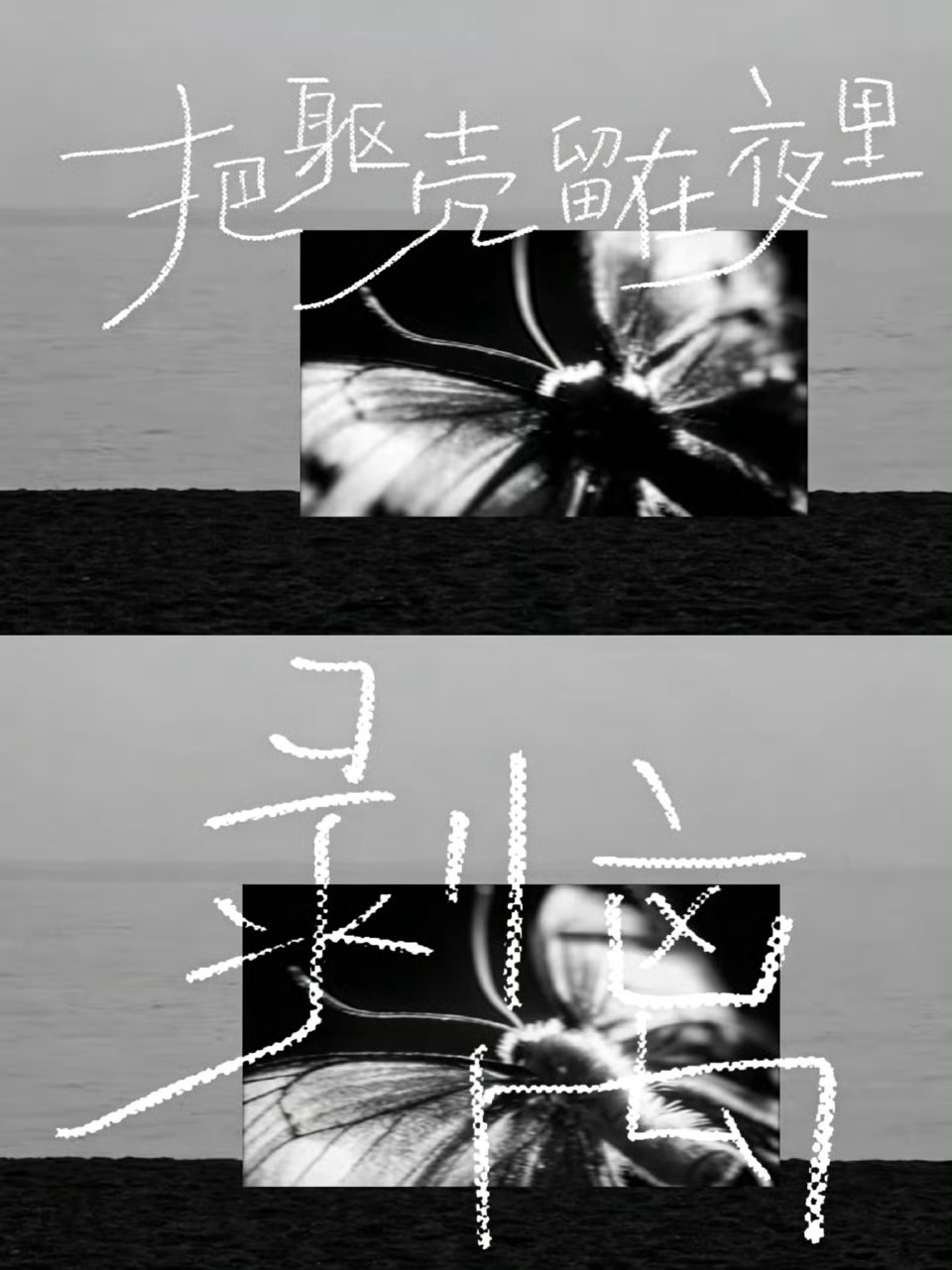 张极发布原创单曲壳张极原创单曲壳MV被张极的唱功狠狠惊艳，天生的好音色极具穿透力