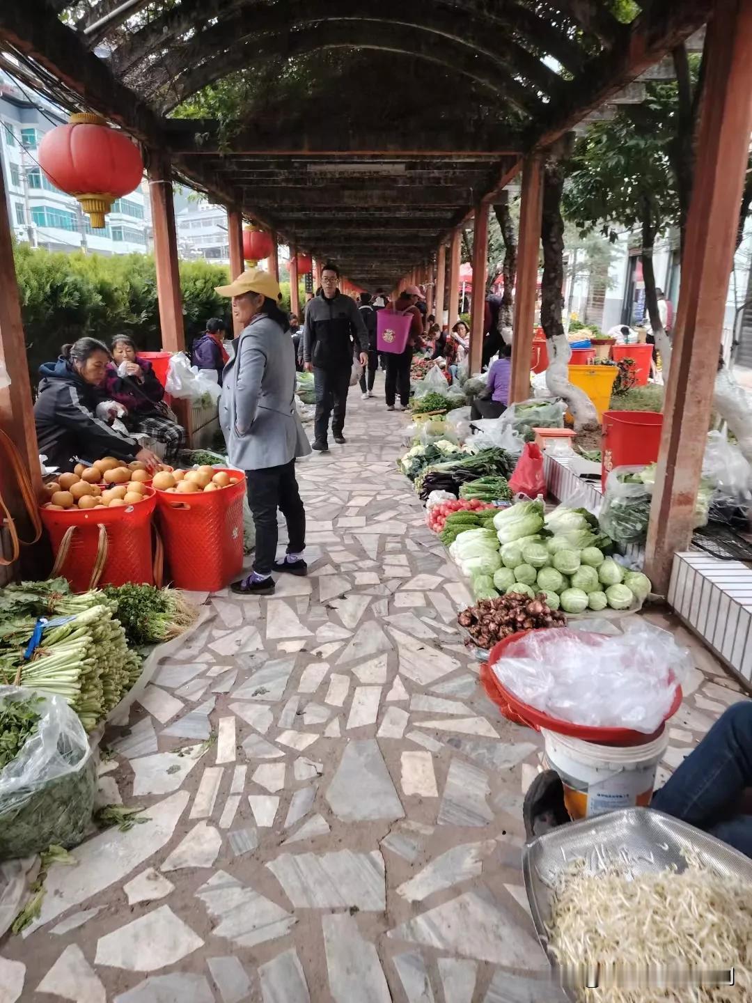 到县城亲戚家才八点半，也不想在他们家吃饭了。城市人根农村不一样，十二点才吃饭的，