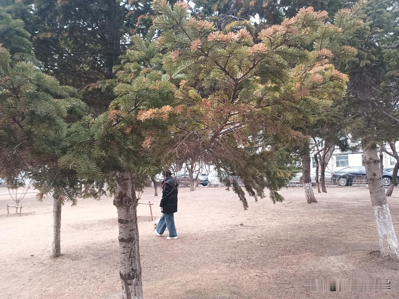 靠自己吧！
我家楼下的大姨都是自己一个人过，没有老伴，就一个人生活。
单靠一个人