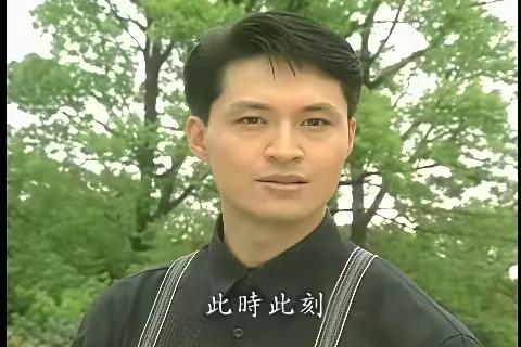 当年那些琼瑶剧中的男主角们 。最著名的比如秦汉，秦祥林，刘德凯，林瑞阳，马景涛…
