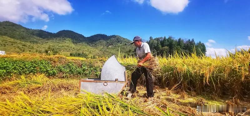 上联：春播千亩稻；诚邀下联秋割满仓谷。