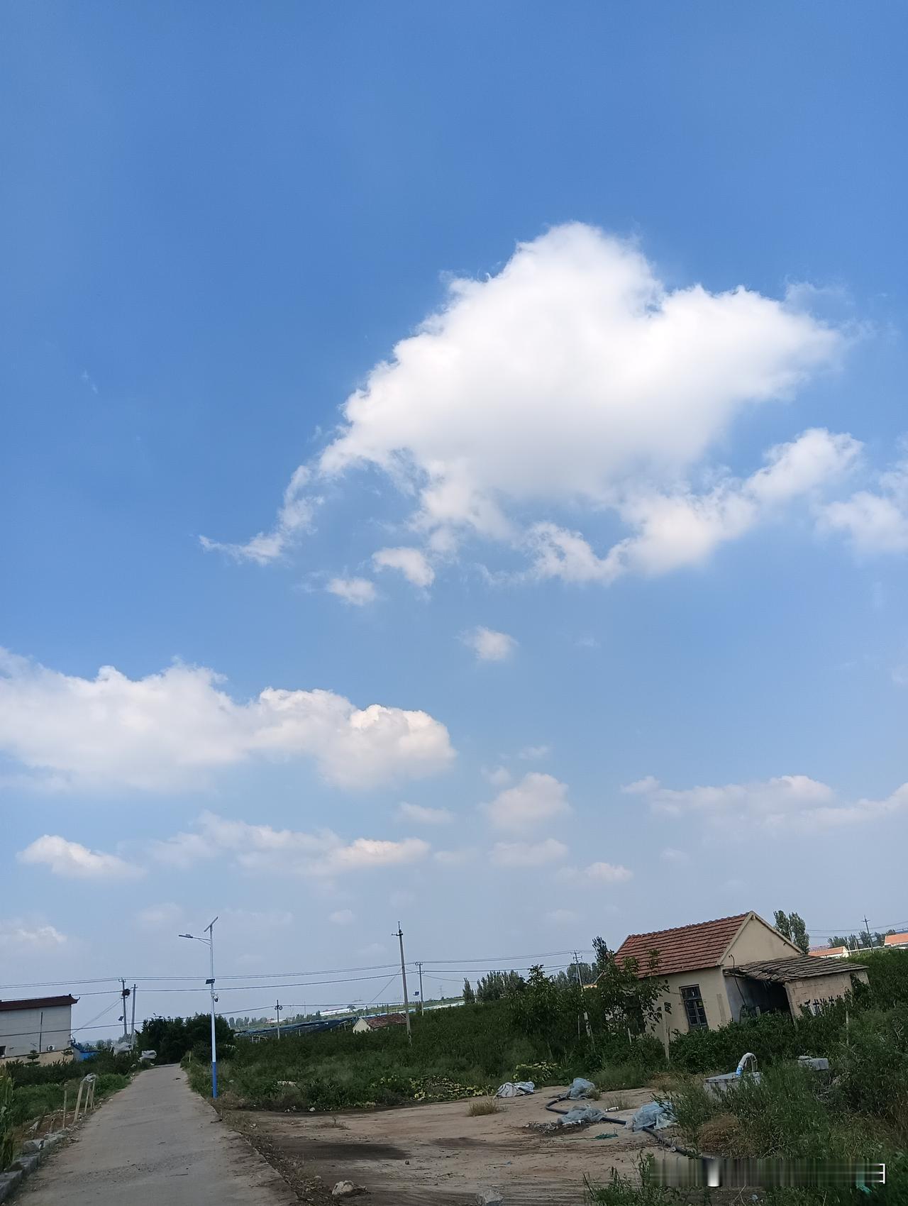 秋日生活打卡季今天的云☁️朵太美了，蓝蓝的天空下，飘过柔美的☁️朵，变化莫测，美