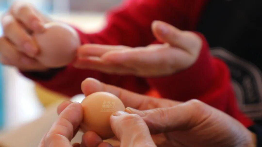 在枣庄市市中区孙枝鸡品牌体验馆里，一枚枚小小的鸡蛋，成了市民们青睐的年礼。它们身