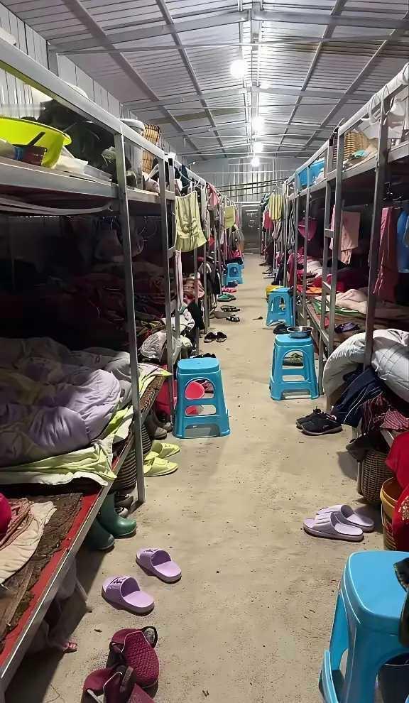 这样的居住环境你会适应吗