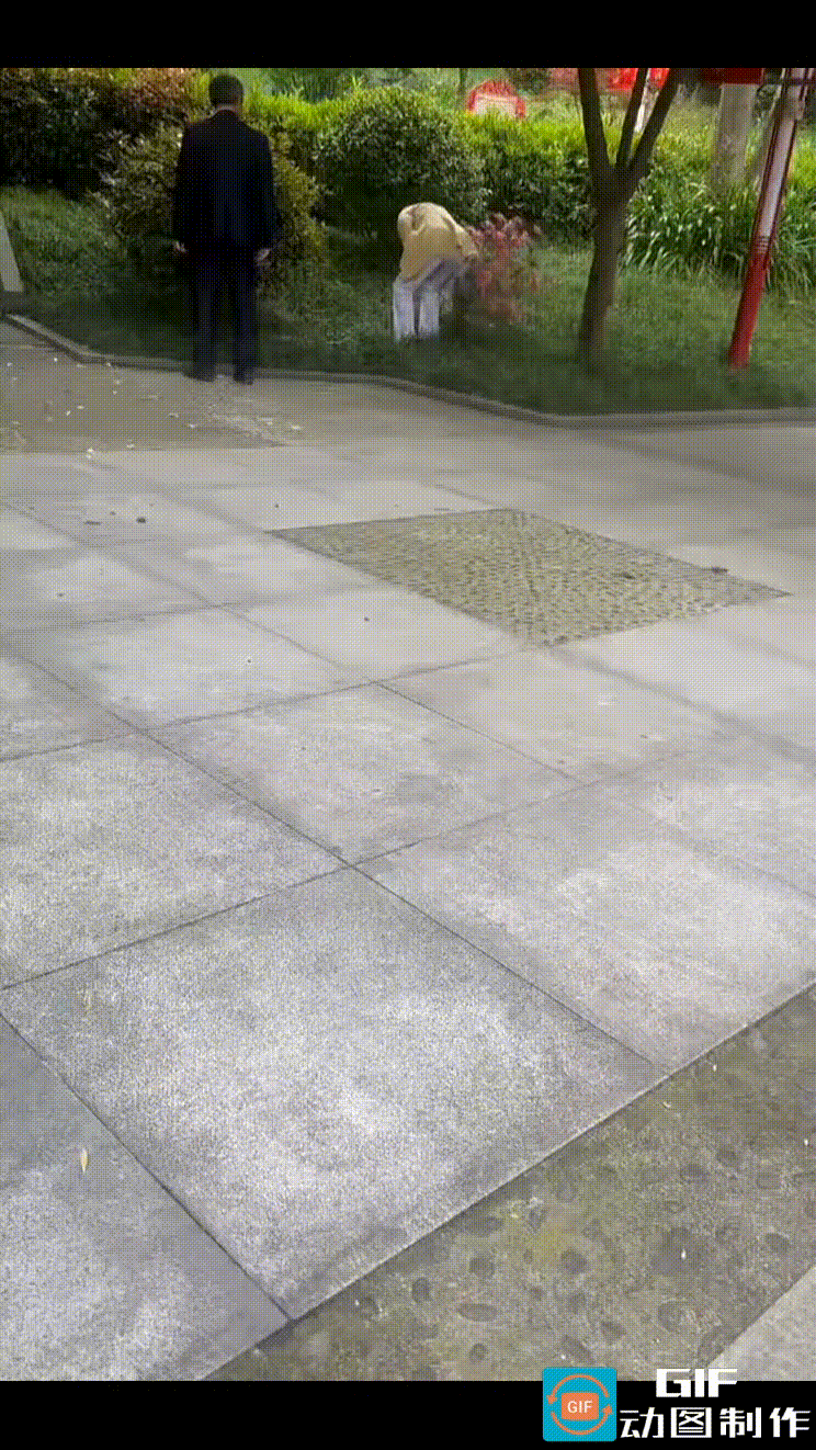 公园里，一男一女看到草坪中的花簇开得鲜艳，色泽饱满得像要滴下来。
女子顿生贪念，